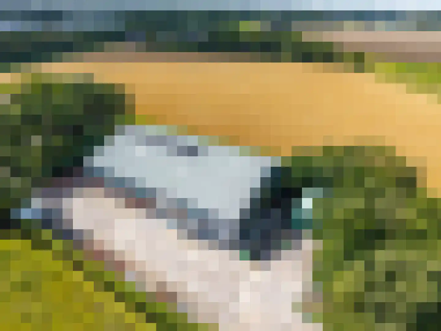 Uithuizerweg 19 Uithuizermeeden thumbnail 68