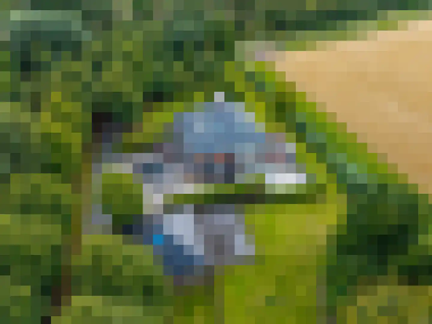 Uithuizerweg 19 Uithuizermeeden thumbnail 69