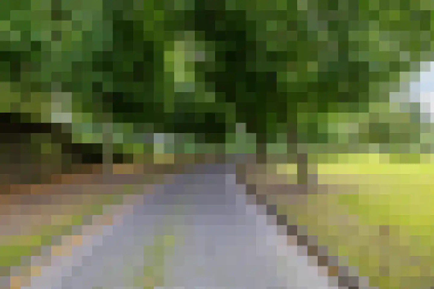 Uithuizerweg 19 Uithuizermeeden thumbnail 7