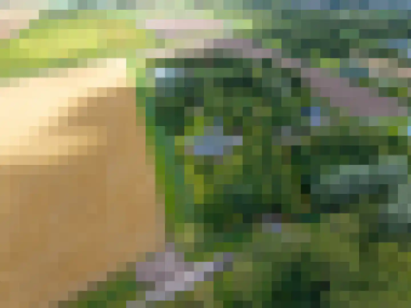 Uithuizerweg 19 Uithuizermeeden thumbnail 72