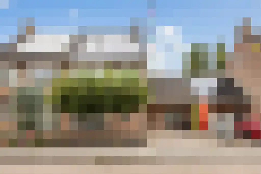 Uitkruier 3 Heukelum