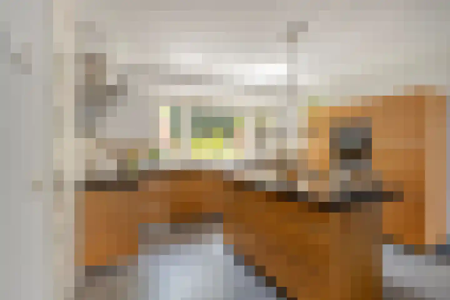 Uitlaat 20 Grootebroek thumbnail 21