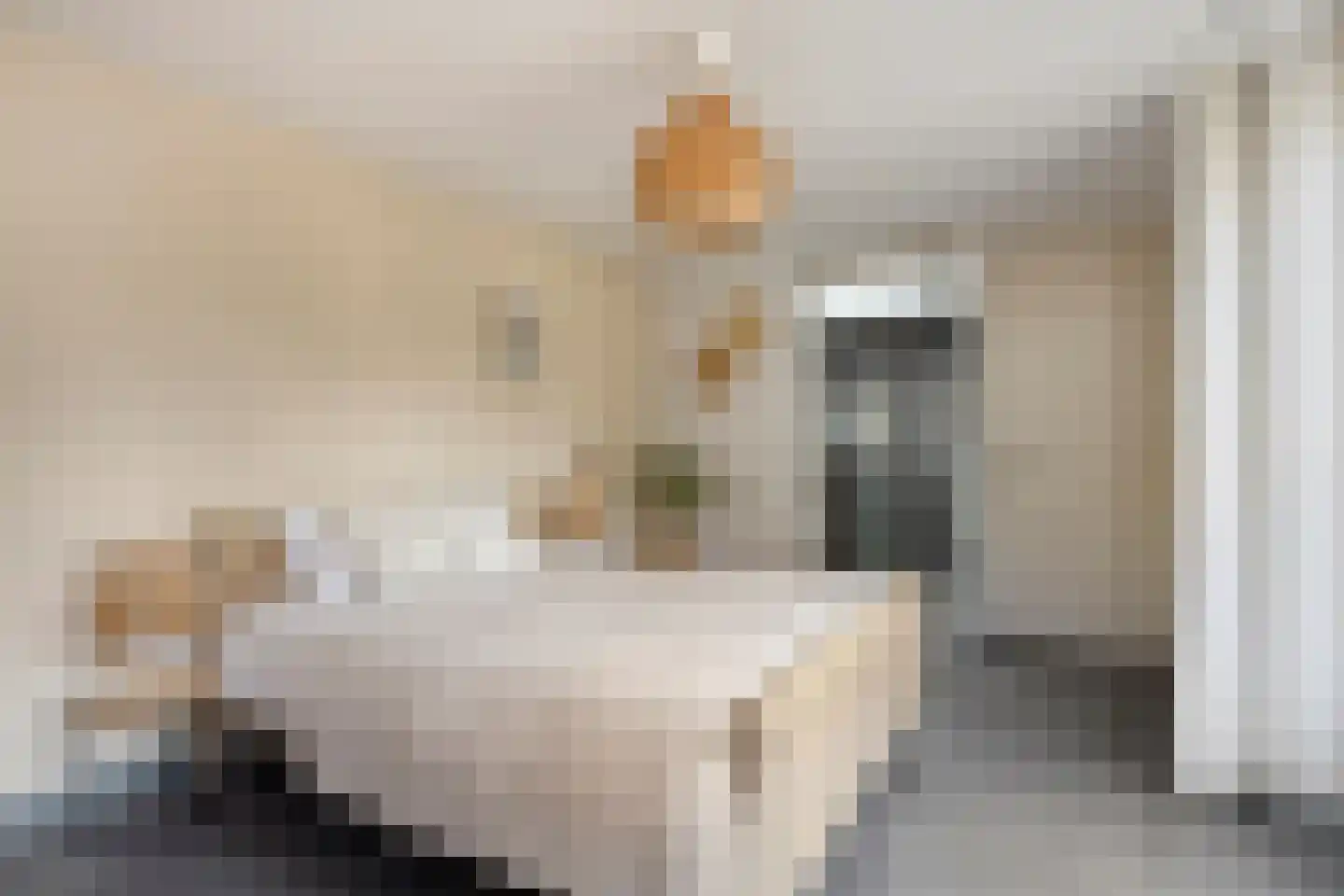 Uitlaat 20 Grootebroek thumbnail 26