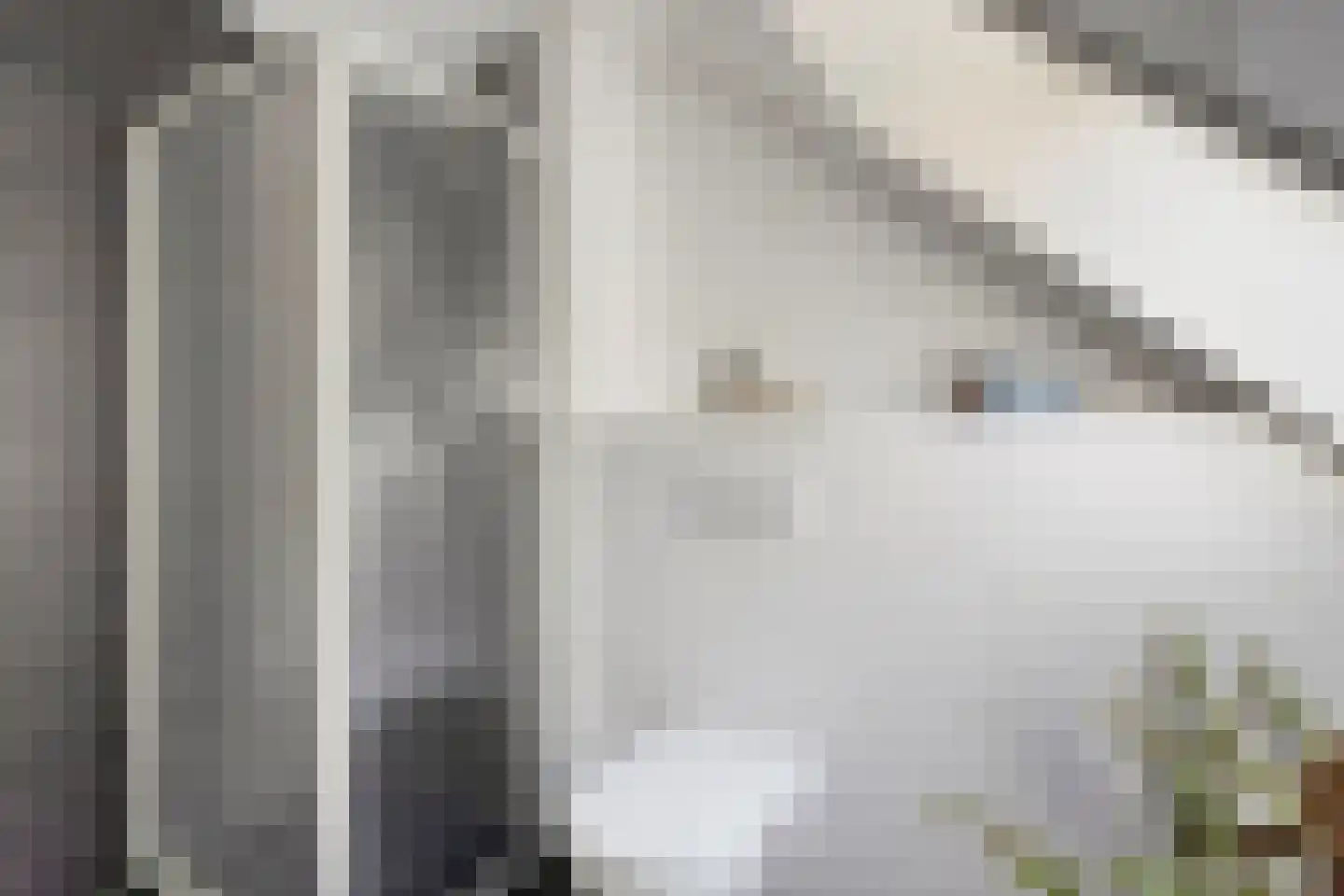 Uitlaat 20 Grootebroek thumbnail 38