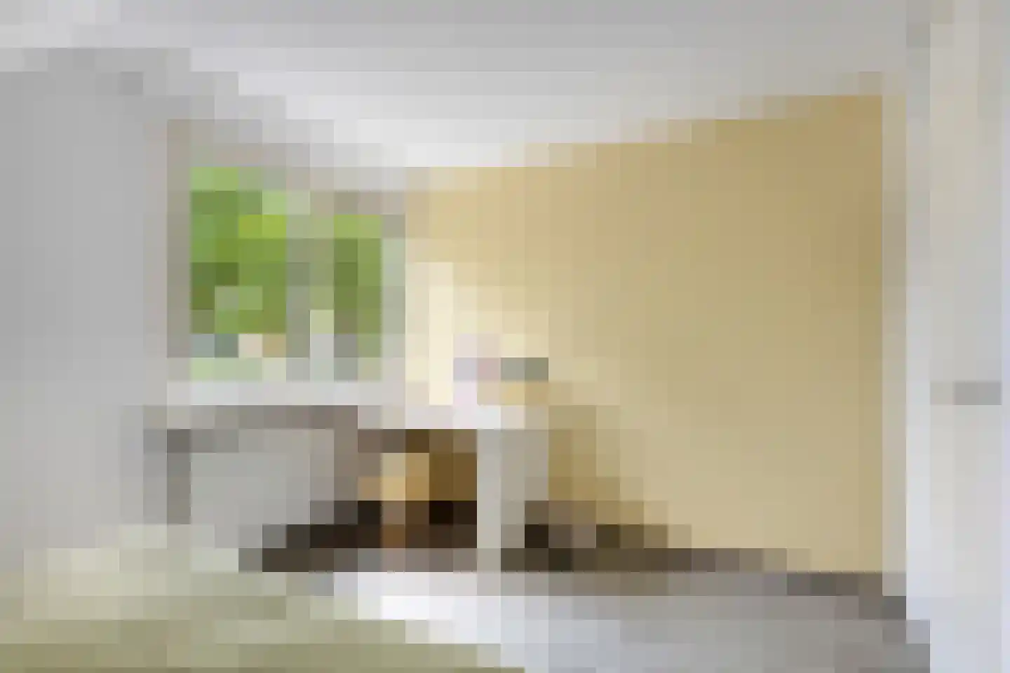 Uitlaat 20 Grootebroek thumbnail 41