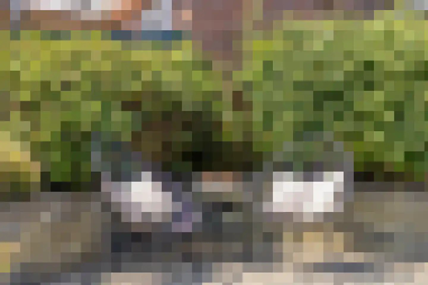 Uitlaat 20 Grootebroek thumbnail 53