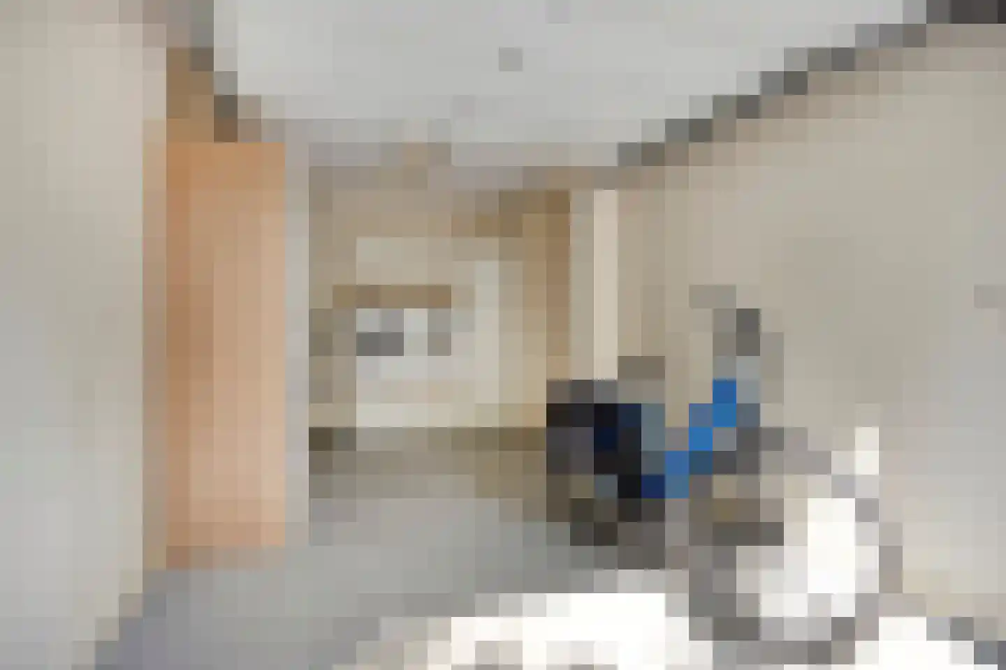 Uitlaat 20 Grootebroek thumbnail 57