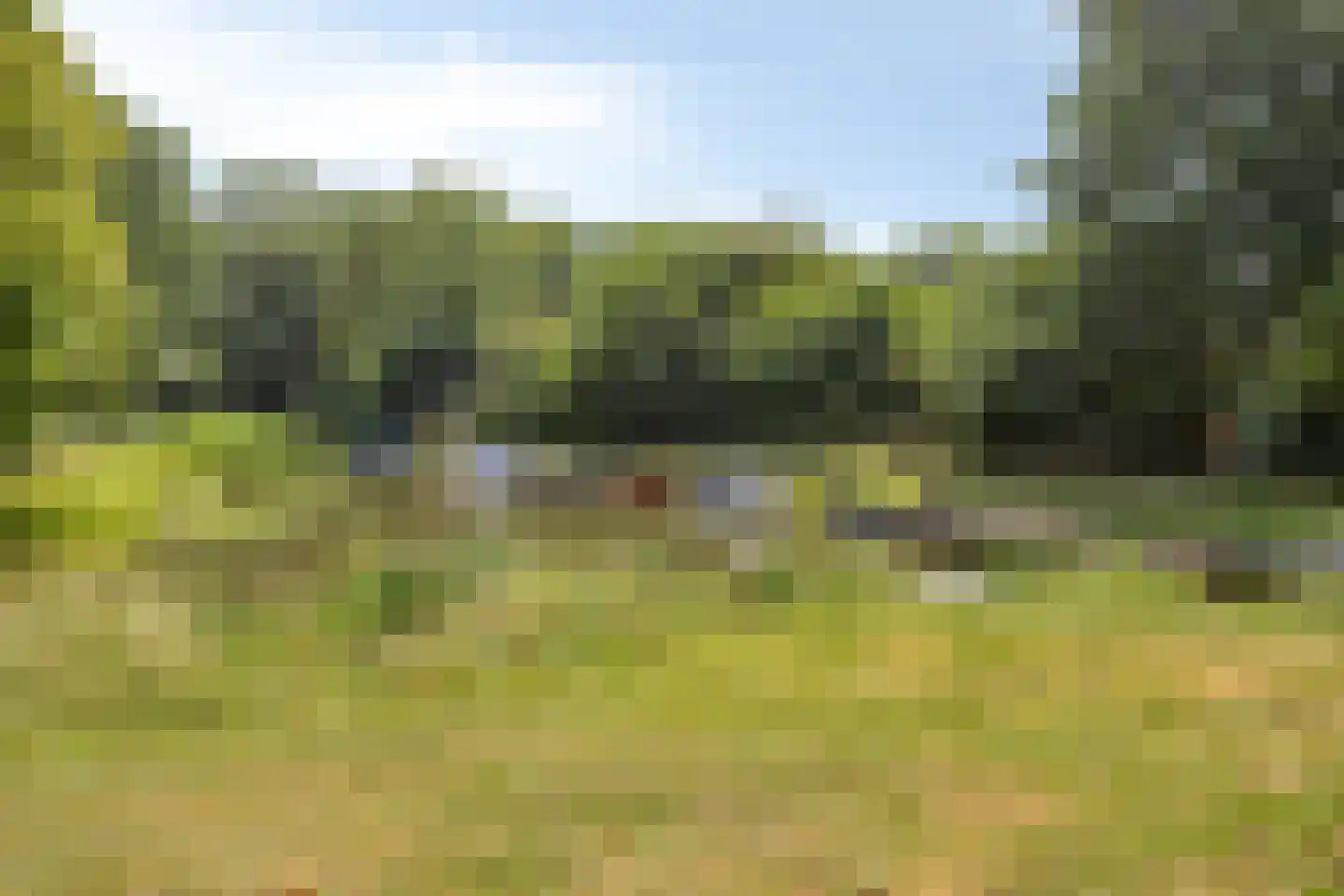 Uitlaat 20 Grootebroek thumbnail 60