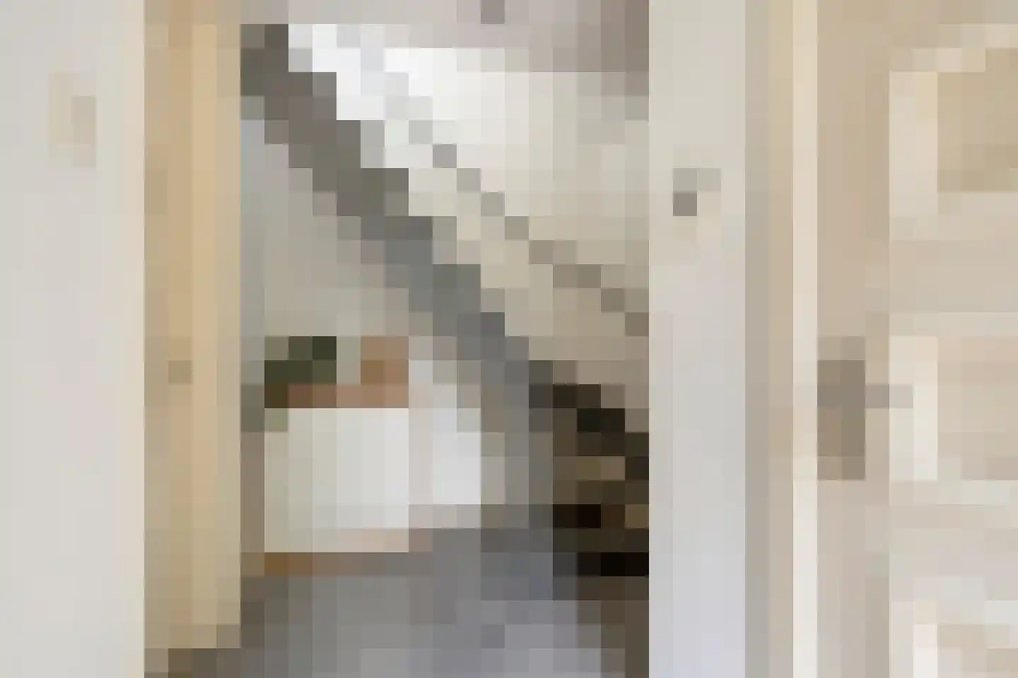 Uitlaat 20 Grootebroek thumbnail 8