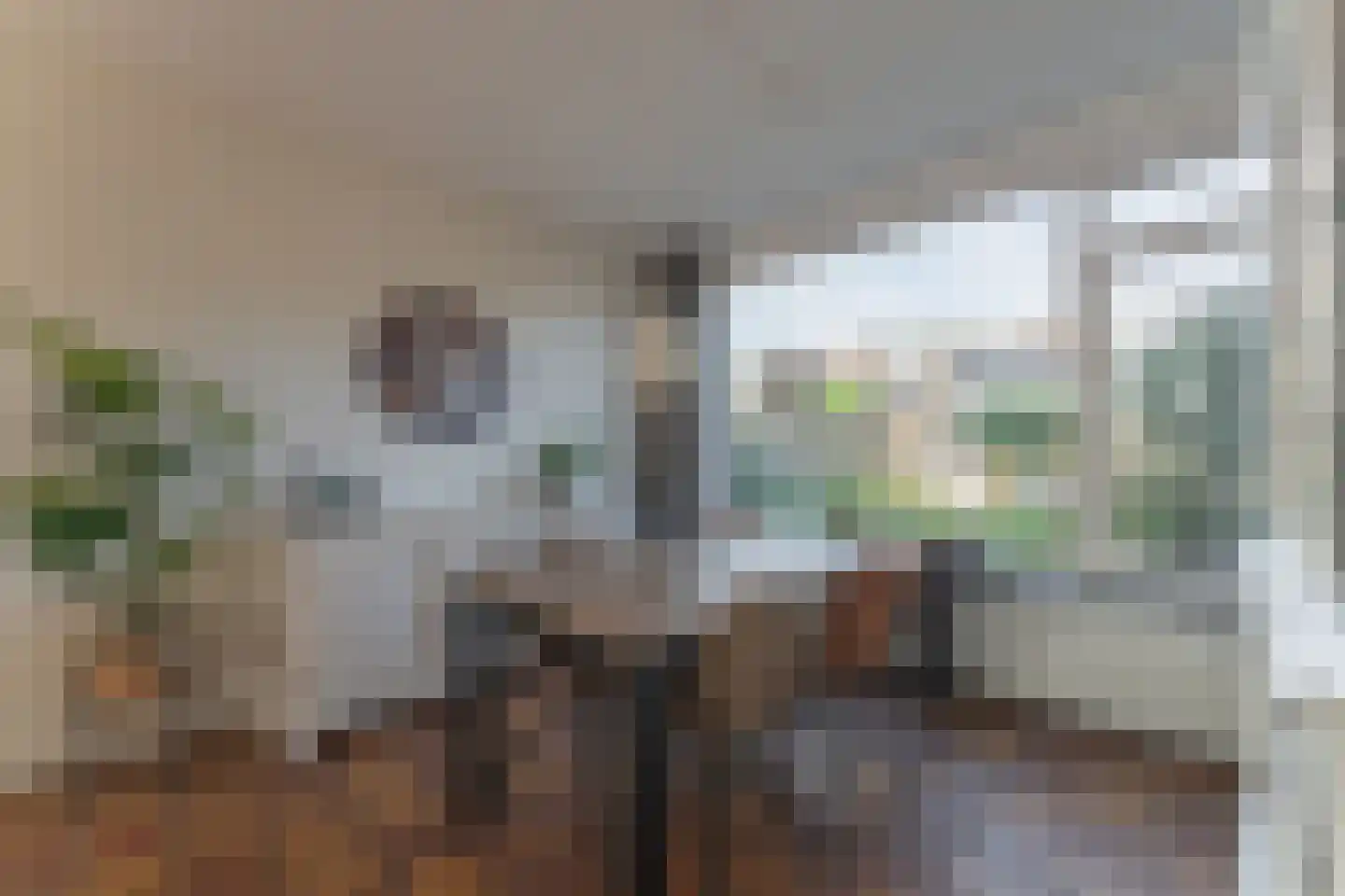 Uitlaat 42 Grootebroek thumbnail 15