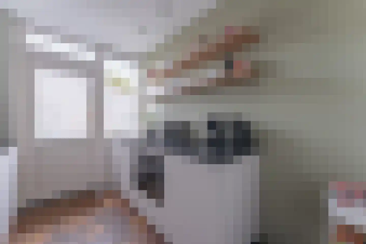 Uitlaat 42 Grootebroek thumbnail 20