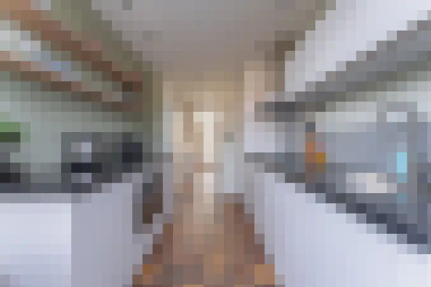Uitlaat 42 Grootebroek thumbnail 21
