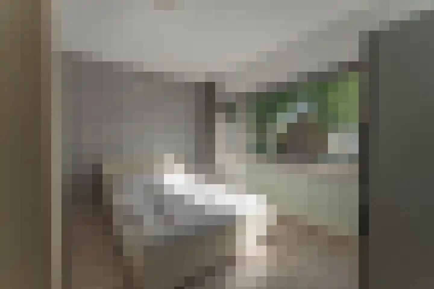 Uitlaat 42 Grootebroek thumbnail 30