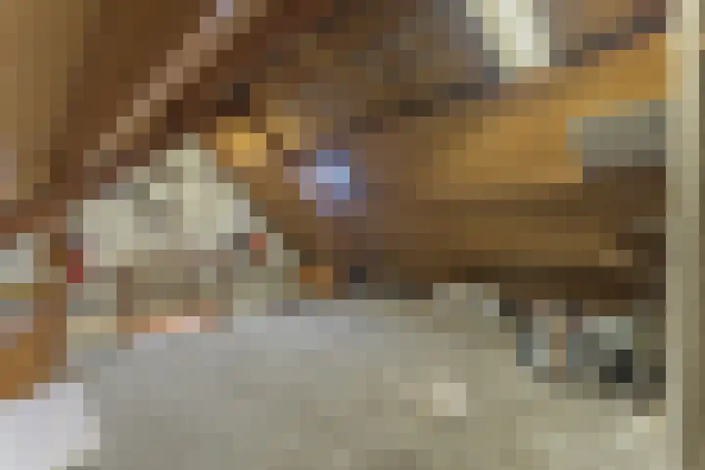 Uitlaat 42 Grootebroek thumbnail 36