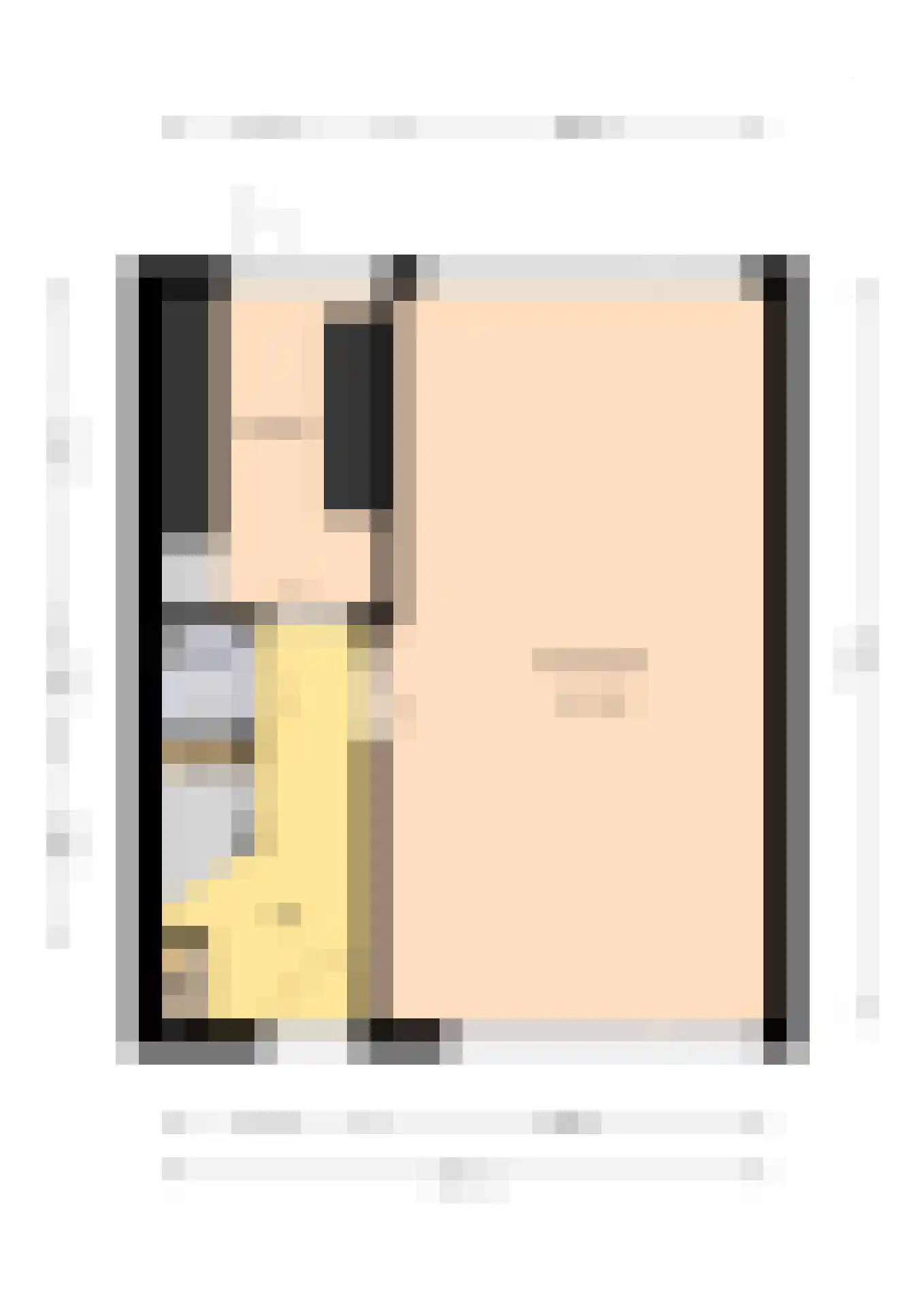 Uitlaat 42 Grootebroek thumbnail 52