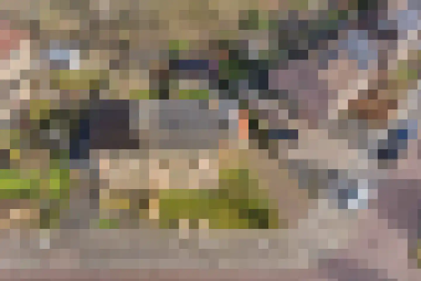 Uitloop 3 Ens thumbnail 12