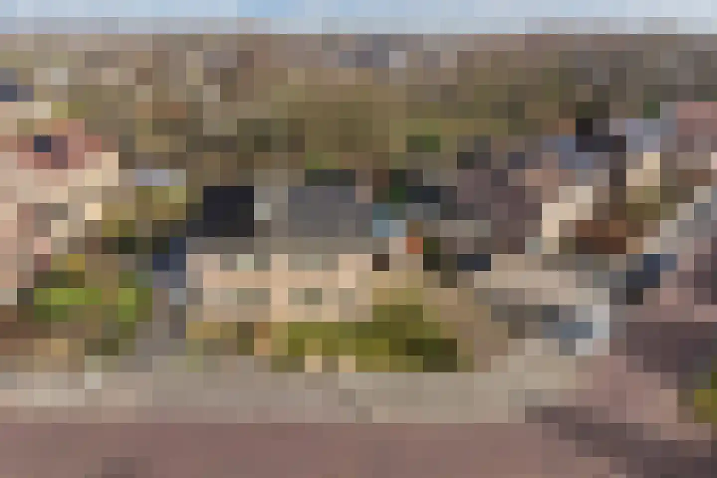 Uitloop 3 Ens thumbnail 13