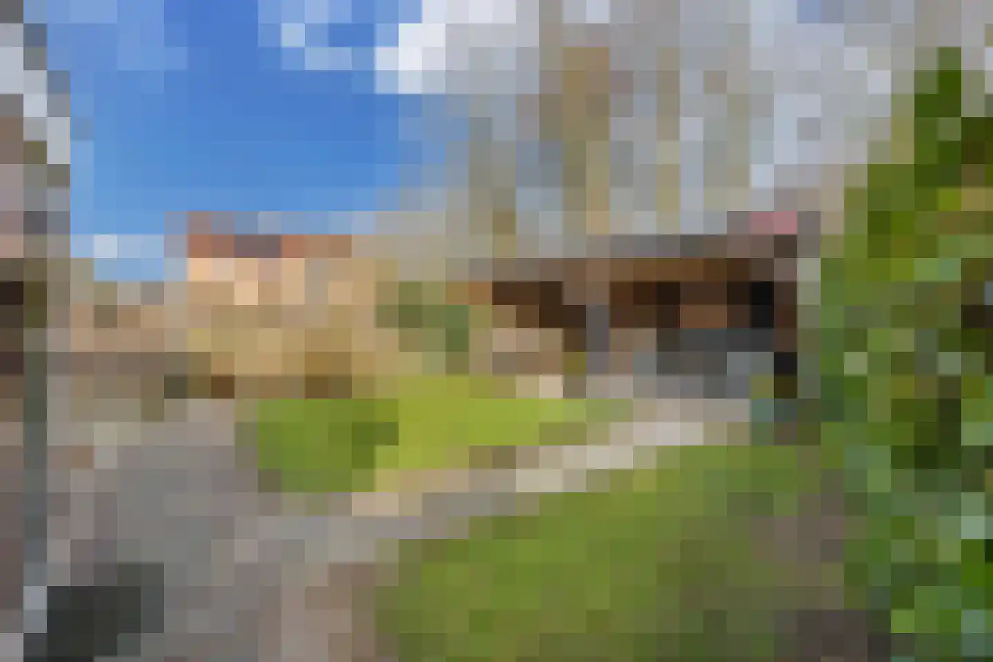 Uitloop 3 Ens foto 2
