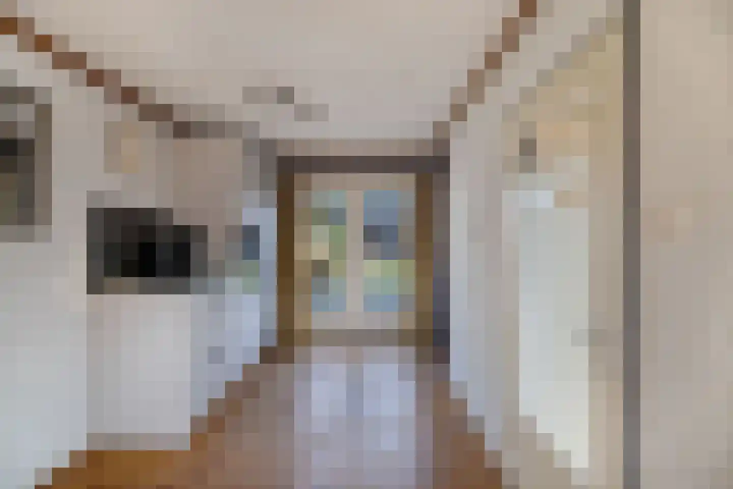 Uitloop 3 Ens thumbnail 20