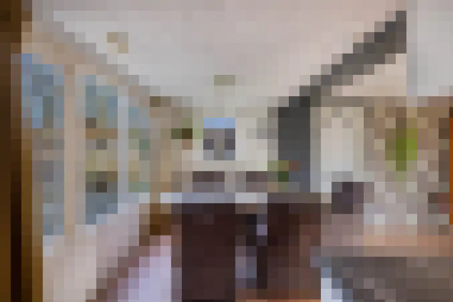Uitloop 3 Ens thumbnail 24