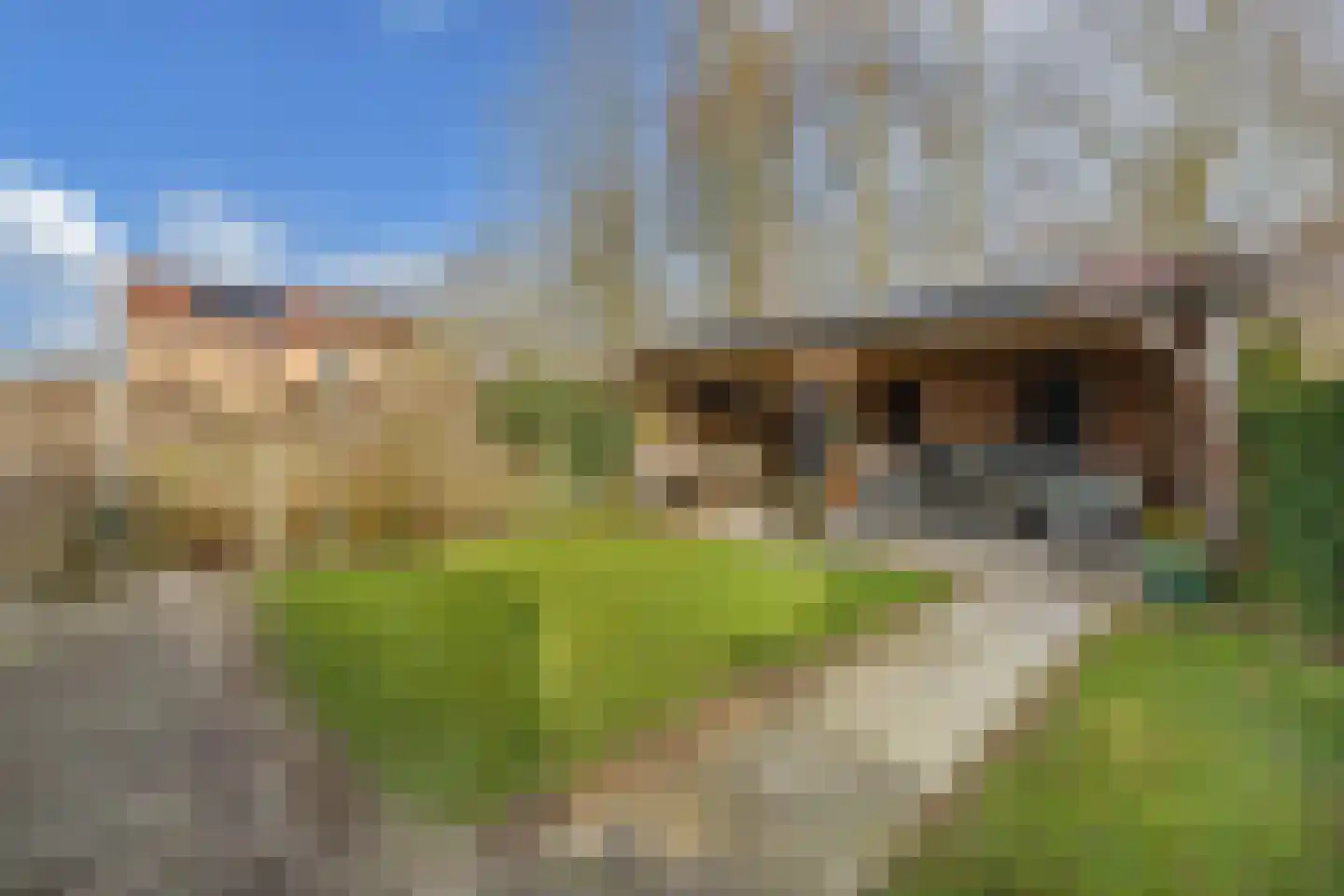 Uitloop 3 Ens thumbnail 34