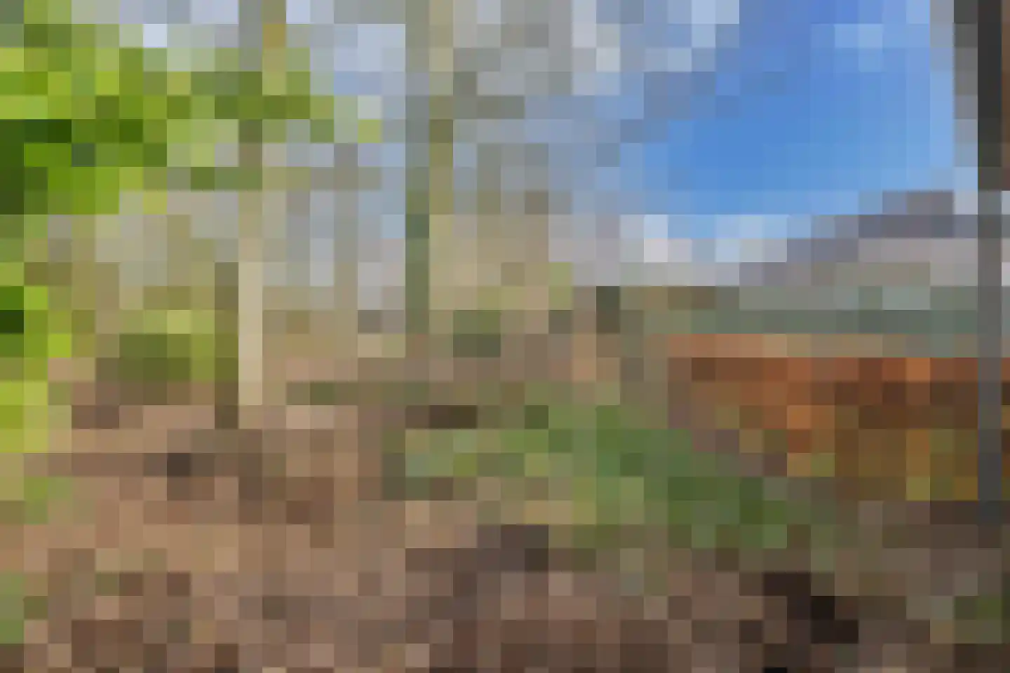 Uitloop 3 Ens thumbnail 39