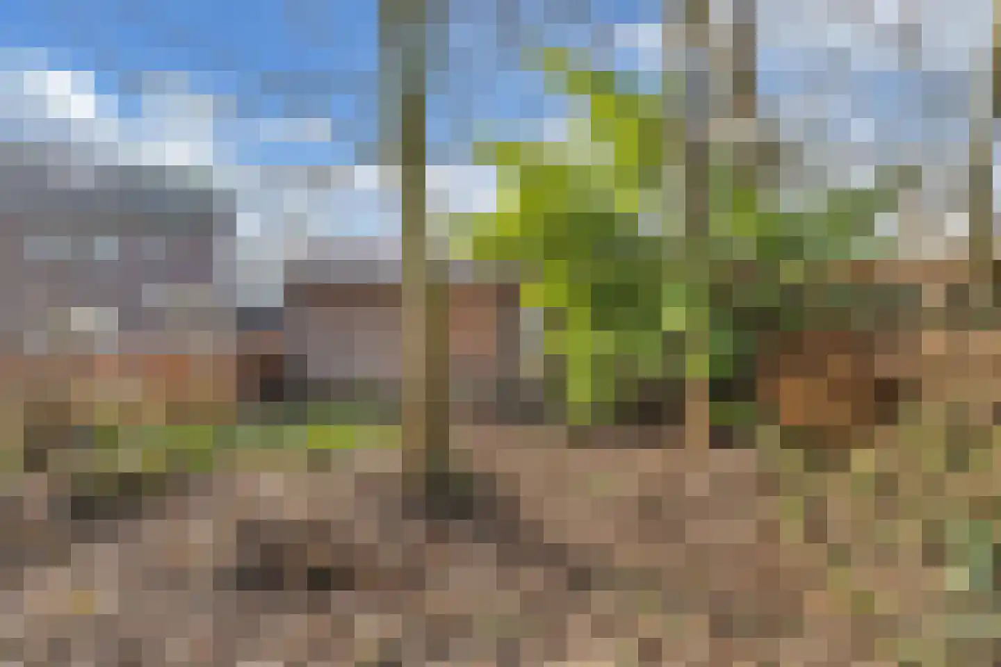 Uitloop 3 Ens thumbnail 40