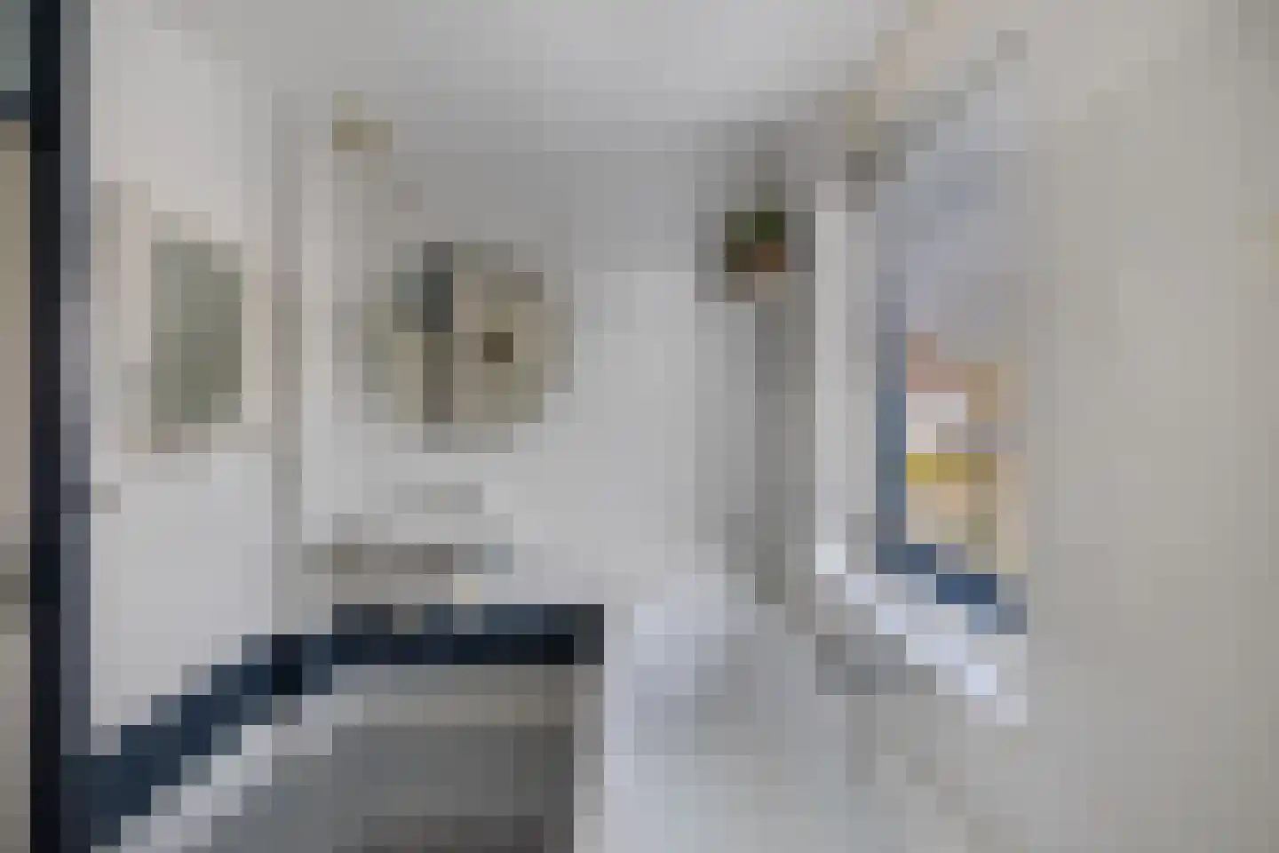 Uitloop 3 Ens thumbnail 48