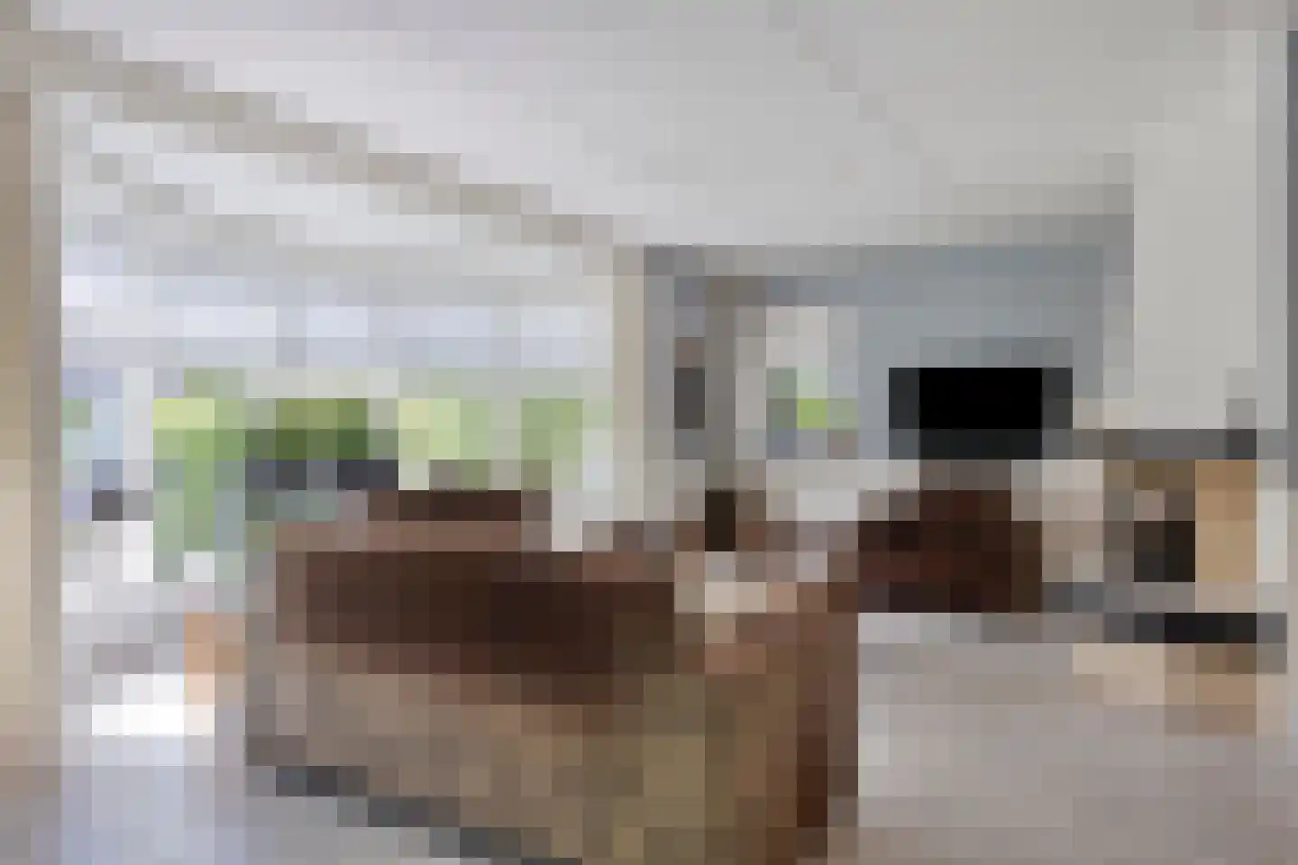 Uitloop 36 Ens thumbnail 12