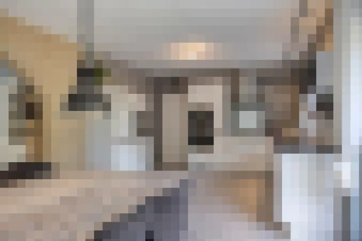 Uitloop 36 Ens thumbnail 15
