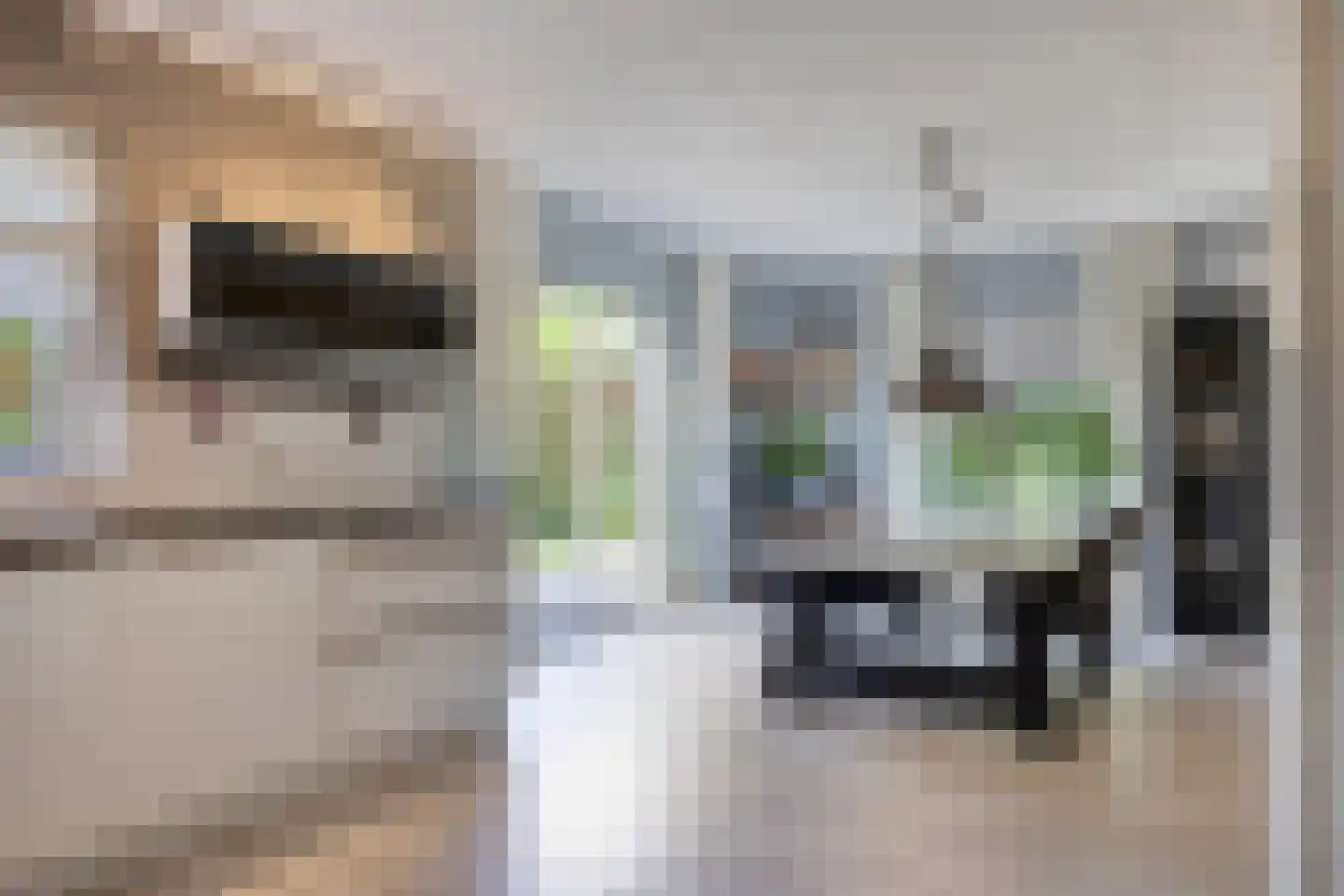 Uitloop 36 Ens thumbnail 18