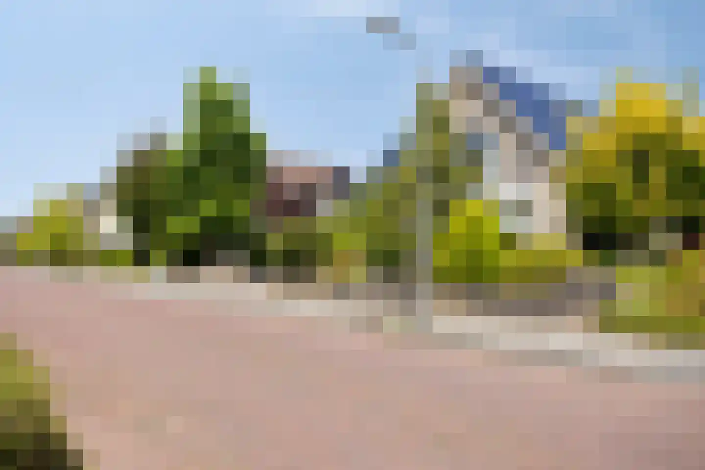 Uitloop 36 Ens foto 2