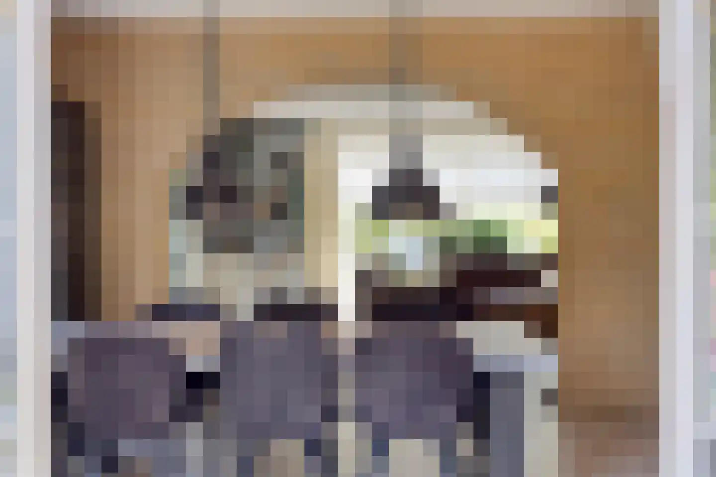 Uitloop 36 Ens thumbnail 20