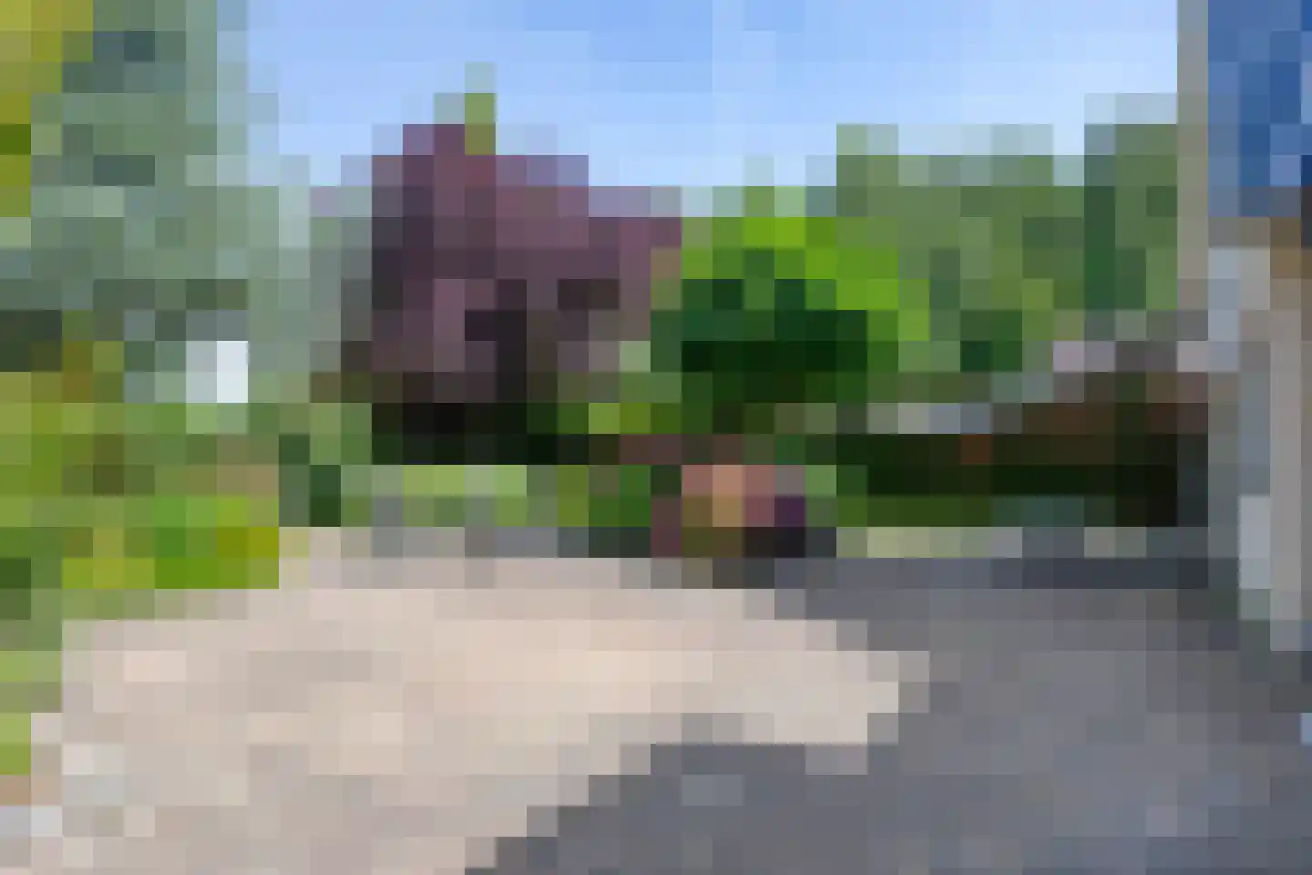 Uitloop 36 Ens thumbnail 25