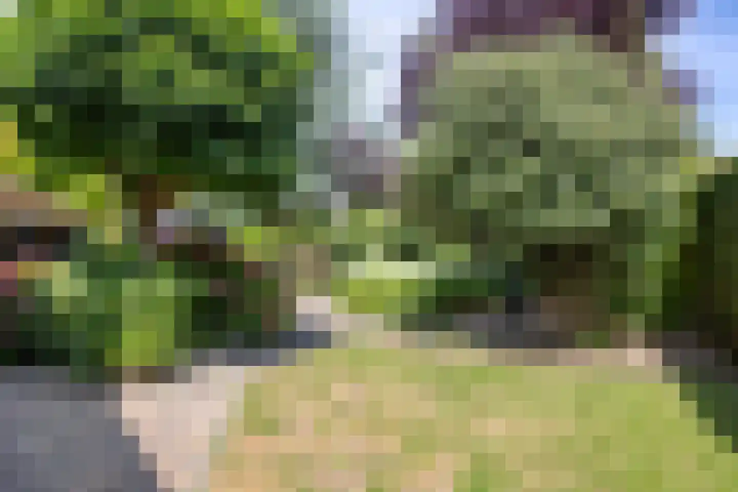 Uitloop 36 Ens thumbnail 26