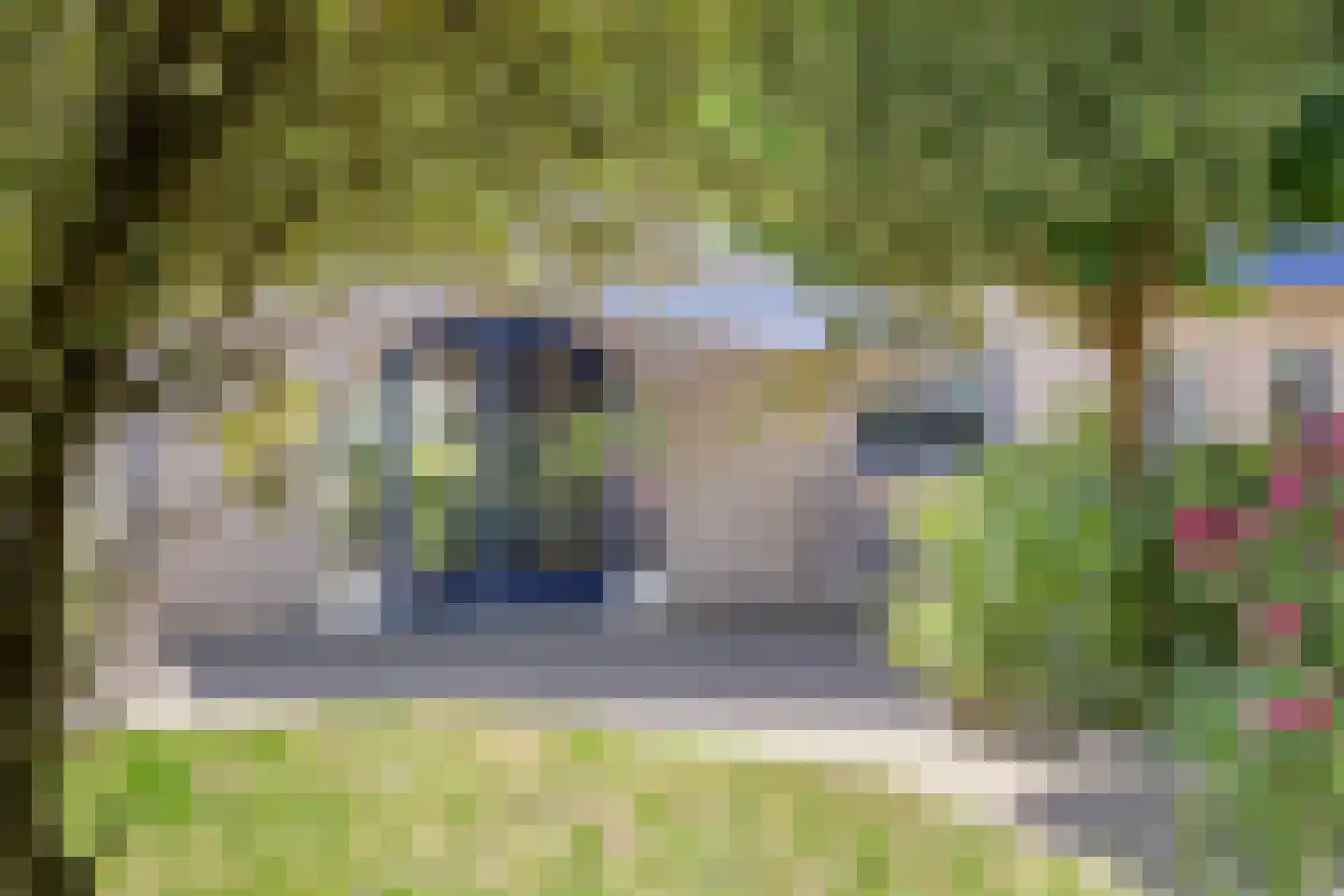 Uitloop 36 Ens thumbnail 28