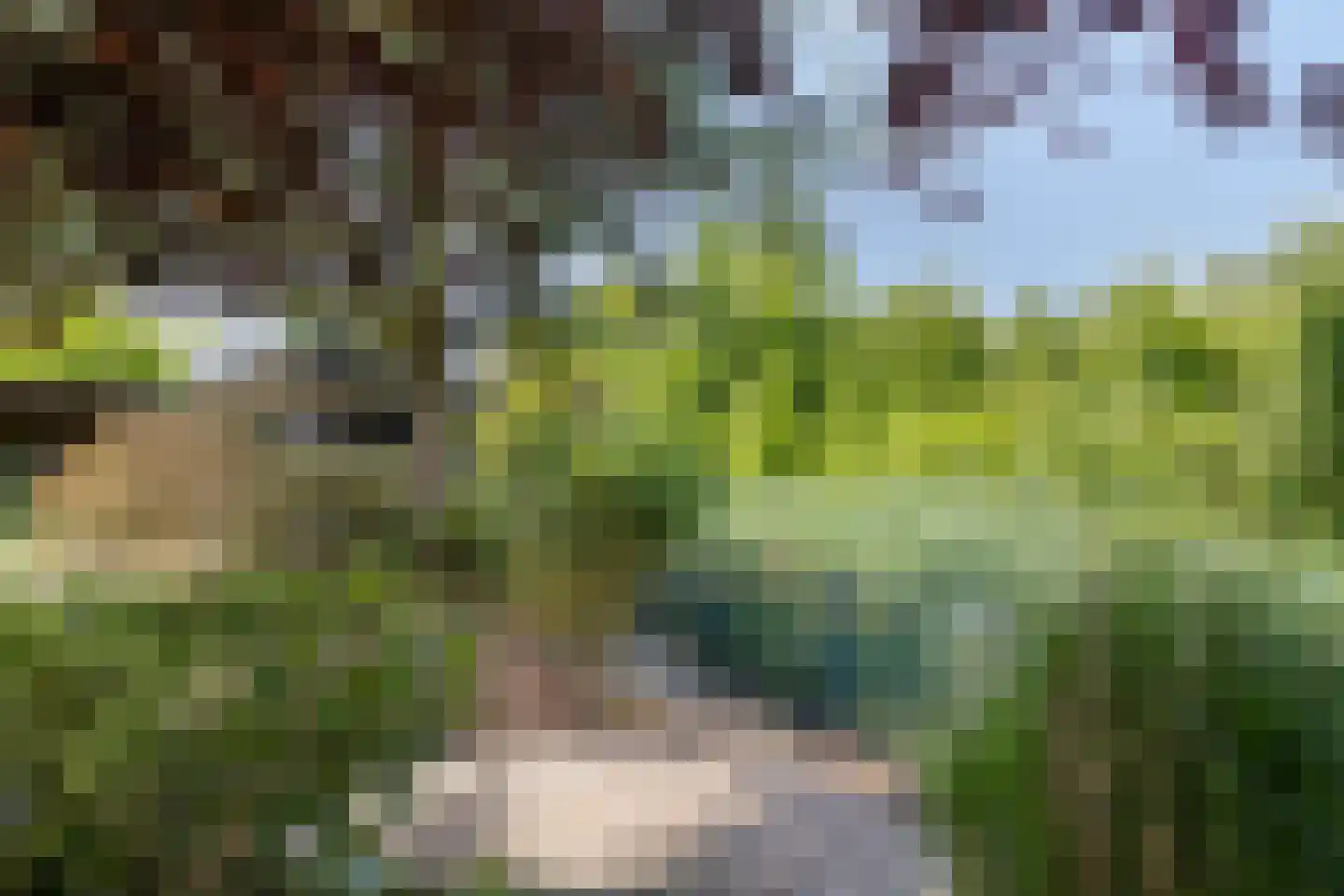 Uitloop 36 Ens thumbnail 29