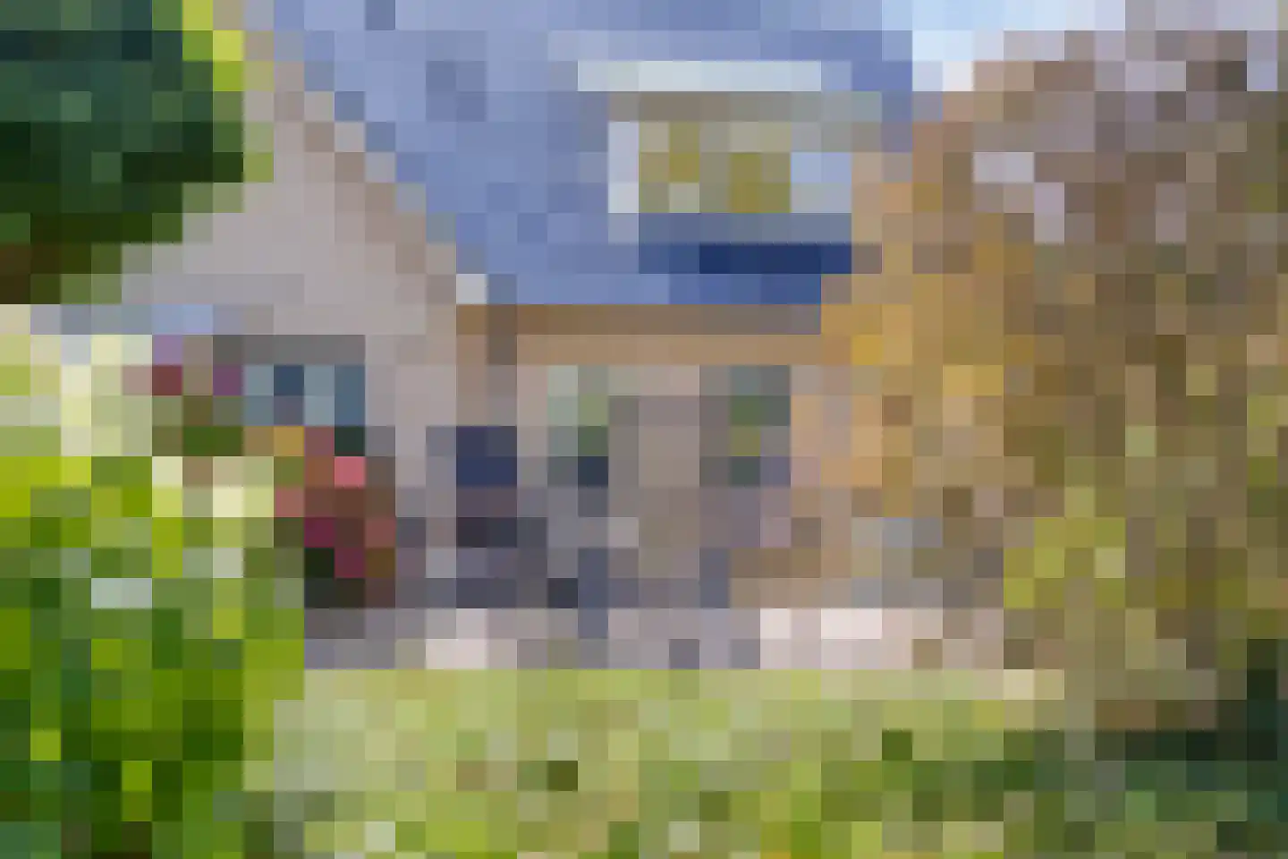 Uitloop 36 Ens thumbnail 30