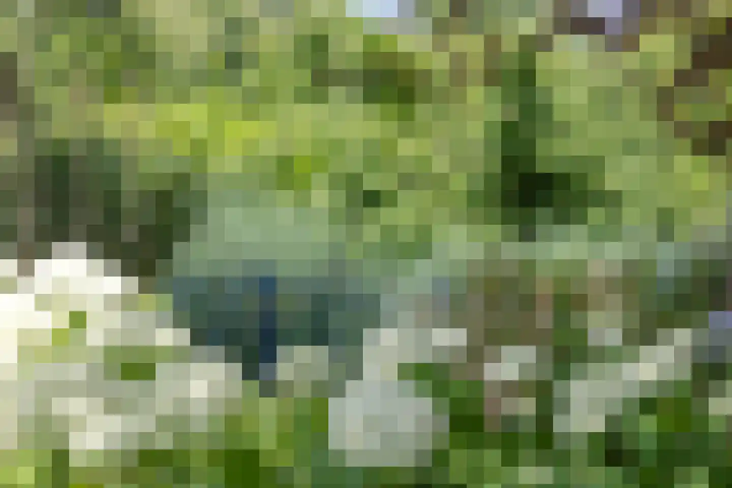 Uitloop 36 Ens thumbnail 31