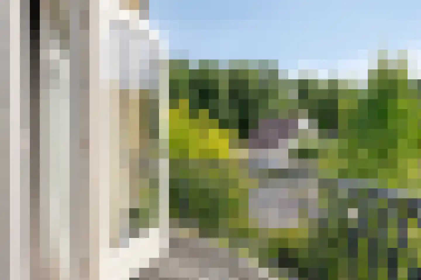 Uitloop 36 Ens thumbnail 37