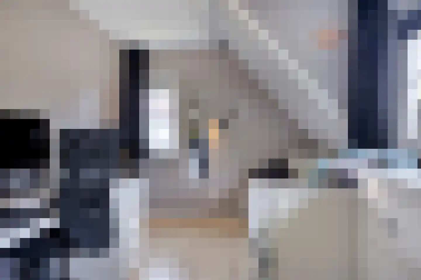 Uitloop 36 Ens thumbnail 42