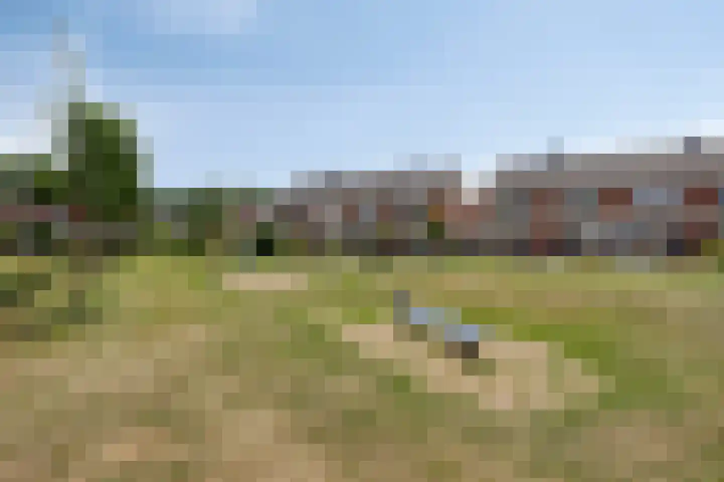 Uitloop 36 Ens thumbnail 48