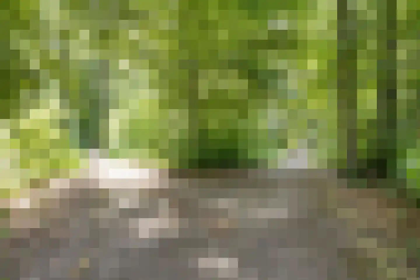 Uitloop 36 Ens thumbnail 49