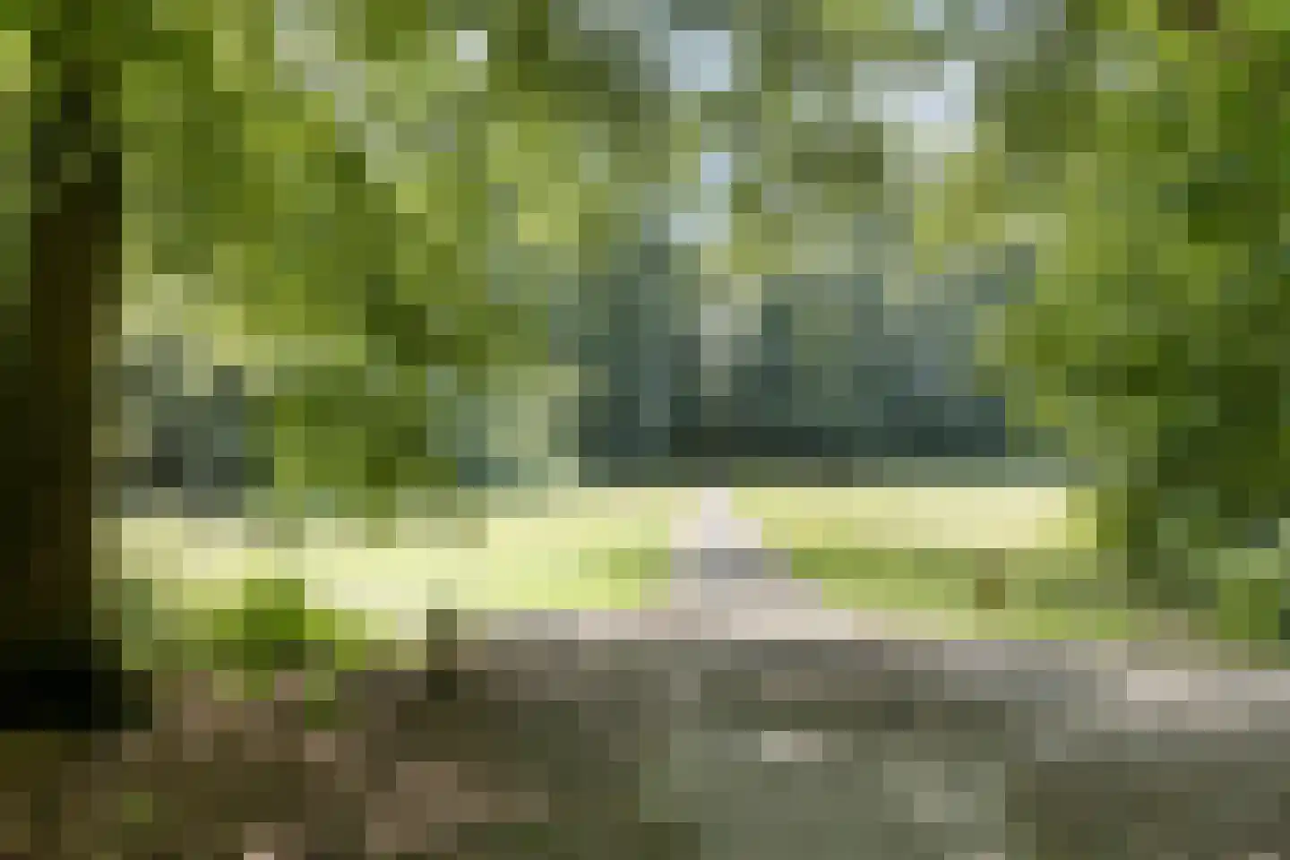 Uitloop 36 Ens thumbnail 50