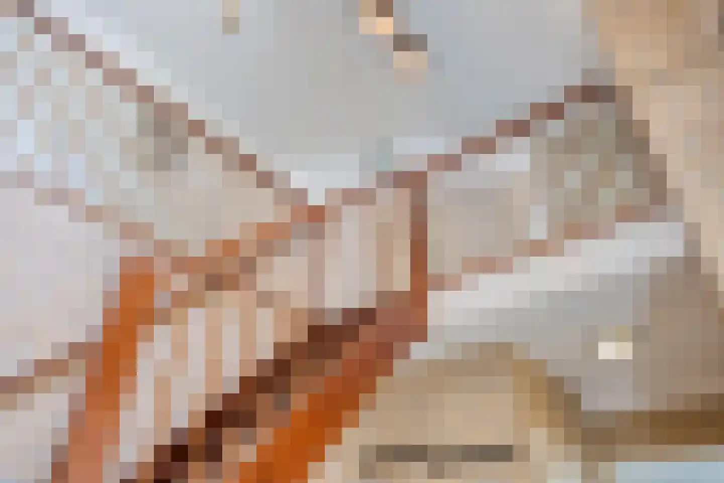 Uitloop 36 Ens thumbnail 9