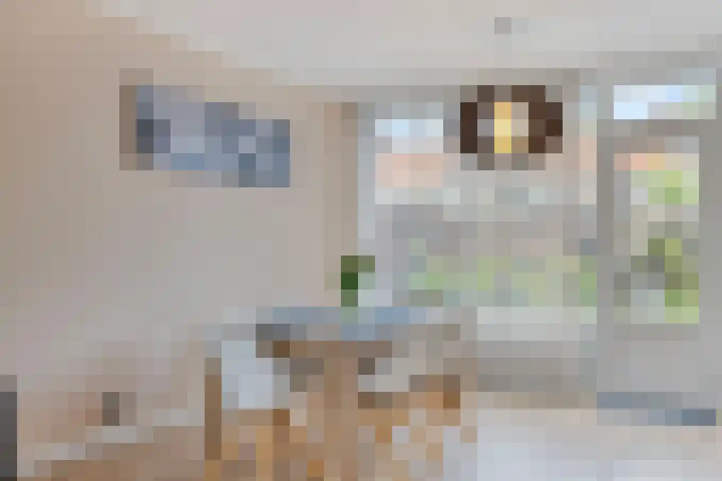 Uitloper 9 Biddinghuizen thumbnail 12