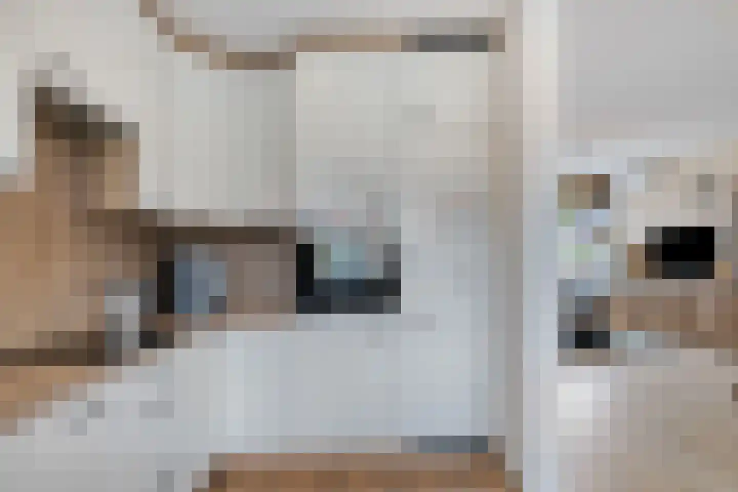 Uitloper 9 Biddinghuizen thumbnail 16