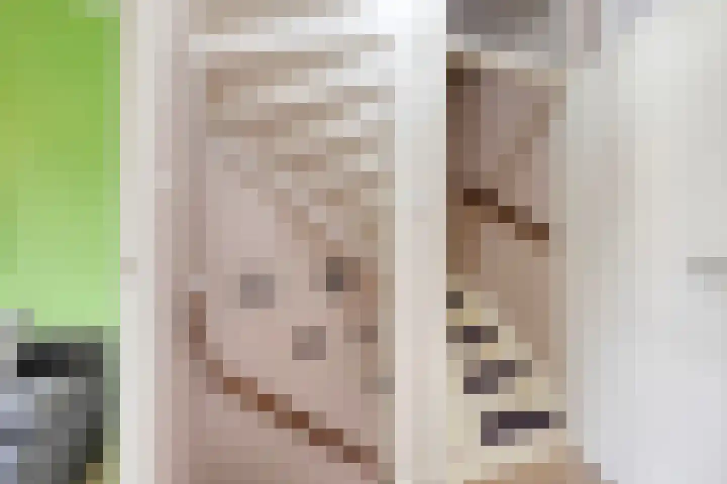 Uitloper 9 Biddinghuizen thumbnail 17