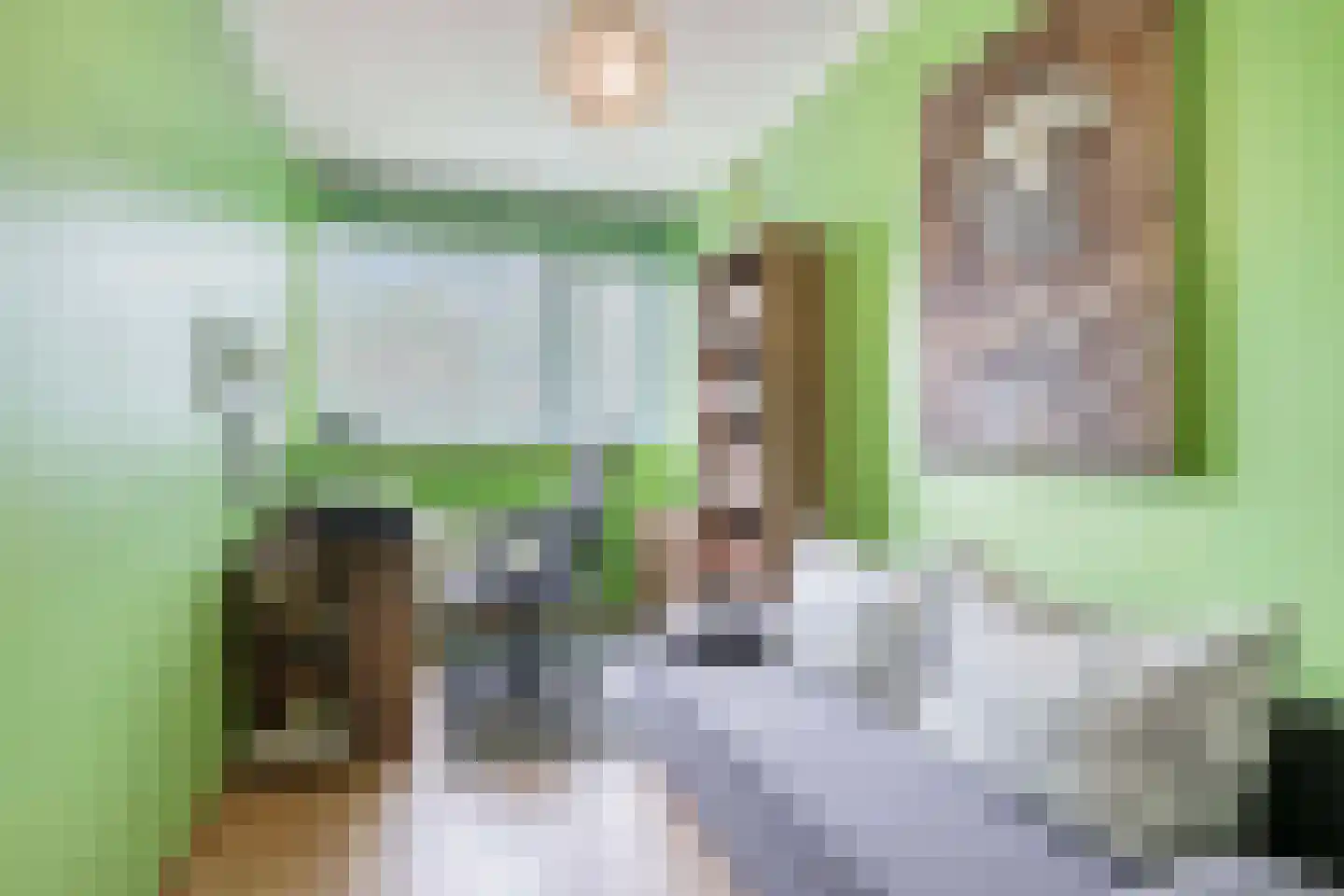 Uitloper 9 Biddinghuizen thumbnail 18