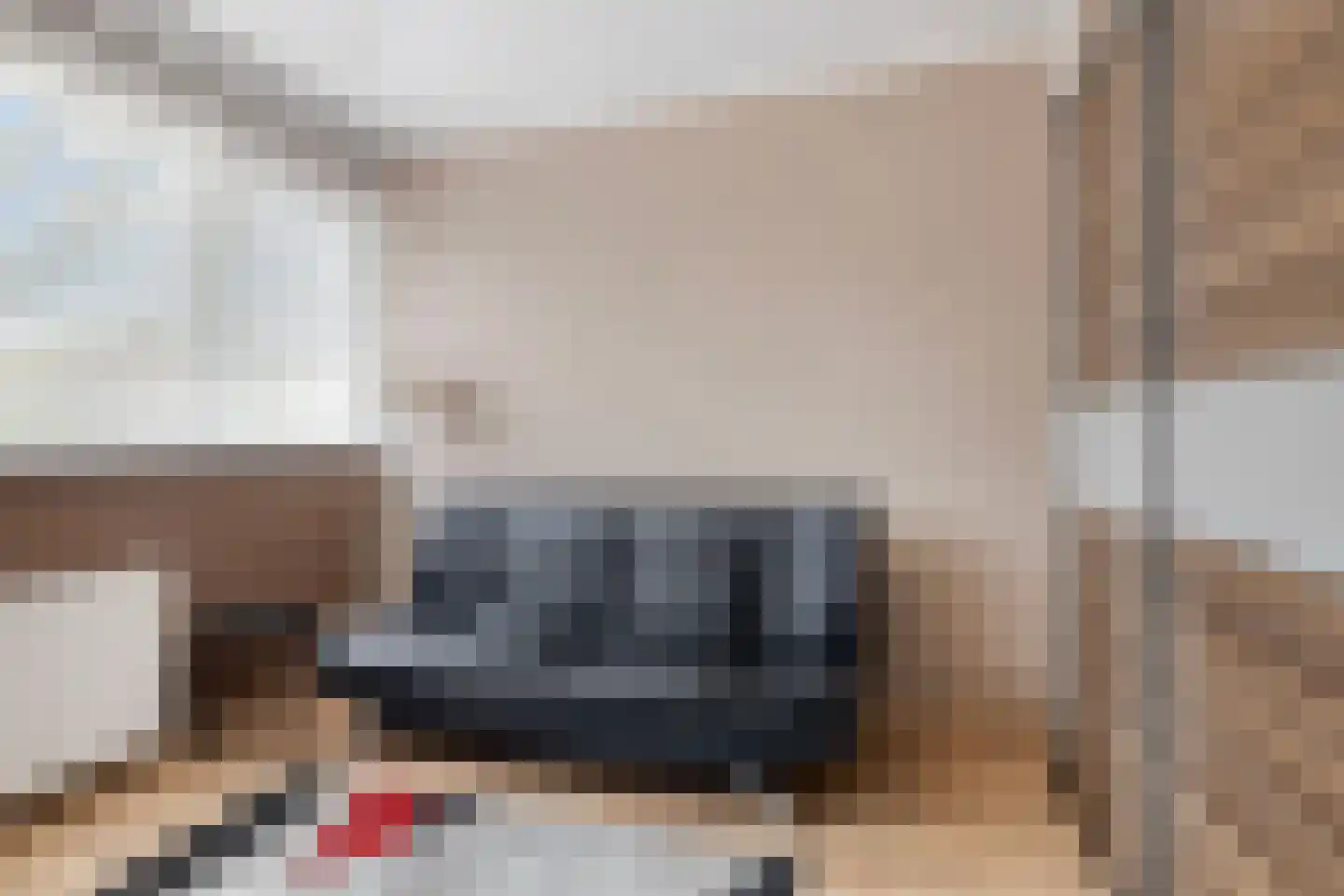 Uitloper 9 Biddinghuizen thumbnail 24